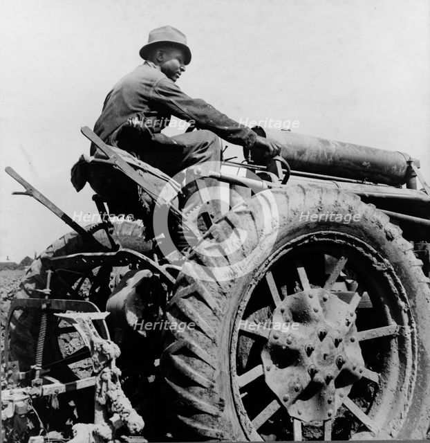 Tractor driver, Aldridge Plantation, Mississippi, 1937. Creator: Dorothea Lange.