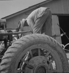 Tractor driver, Aldridge Plantation, Mississippi, 1937. Creator: Dorothea Lange