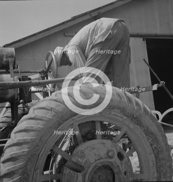 Tractor driver, Aldridge Plantation, Mississippi, 1937. Creator: Dorothea Lange.