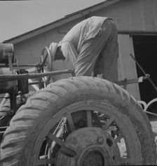 Tractor driver, Aldridge Plantation, Mississippi, 1937. Creator: Dorothea Lange