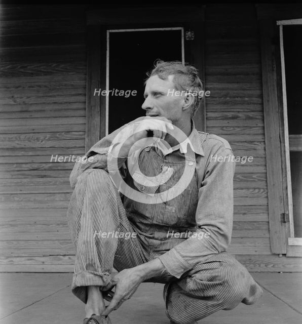Tractor driver on cotton farm near Memphis, Texas, 1937. Creator: Dorothea Lange.