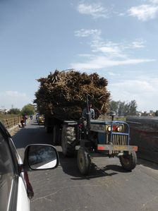 Tractor loaded with sugar cane, Uttarakhand, India. Creator: Unknown