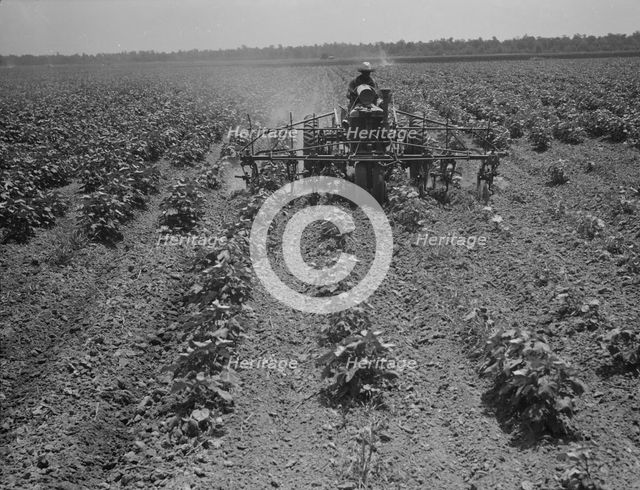 Tractor on the Aldridge Plantation, Mississippi, 1937. Creator: Dorothea Lange.