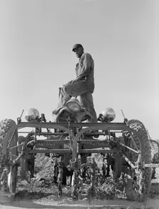 Tractor on Lake Dick project, Arkansas, 1938. Creator: Dorothea Lange