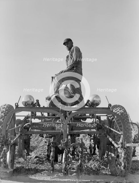 Tractor on Lake Dick project, Arkansas, 1938. Creator: Dorothea Lange.