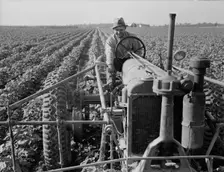 Tractor on Lake Dick project, Arkansas, 1938. Creator: Dorothea Lange