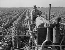 Tractor on Lake Dick project, Arkansas, 1938. Creator: Dorothea Lange