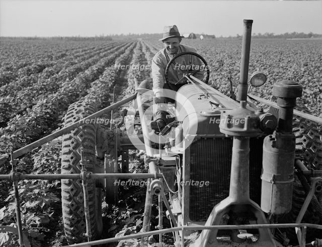 Tractor on Lake Dick project, Arkansas, 1938. Creator: Dorothea Lange.