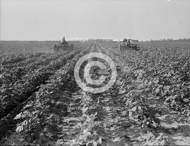Tractors on Lake Dick project, Arkansas, 1938. Creator: Dorothea Lange.