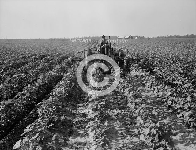 Tractors on Lake Dick project, Arkansas, 1938. Creator: Dorothea Lange.