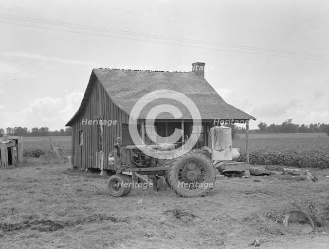Tractors with pneumatic tires are replacing mules on the Delta plantations, Arkansas, 1939. Creator: Dorothea Lange.