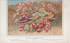 Trade Card for Hare & Co., Ltd, 1910., 1910. Creator: Anon