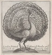 Trade card for Nathaniell Ponder, Bookseller, 18th century., Creator: Anon