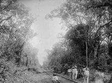 Train in the Cafetal of Temasopa (i.e. Tamasopo), between 1880 and 1897. Creator: William H. Jackson