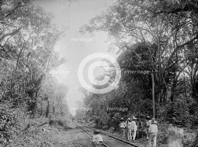 Train in the Cafetal of Temasopa (i.e. Tamasopo), between 1880 and 1897. Creator: William H. Jackson.