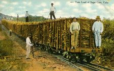 Train Load of Sugar Cane, Cuba c1910s. Creator: Unknown