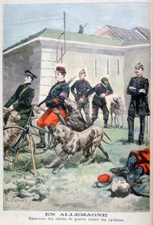 Training army dogs to attack cyclists, Germany, 1897. Creator: F Meaulle