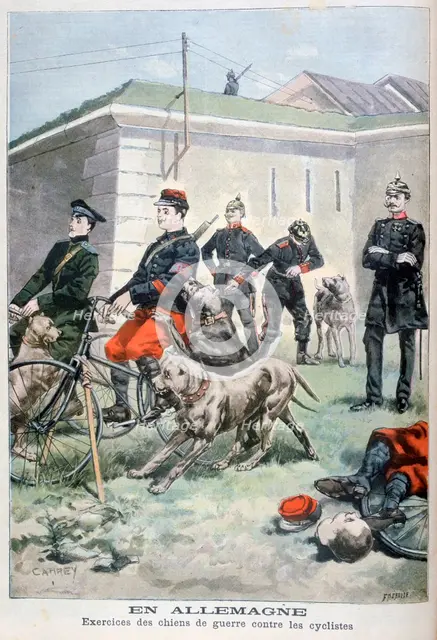 Training army dogs to attack cyclists, Germany, 1897. Creator: F Meaulle.