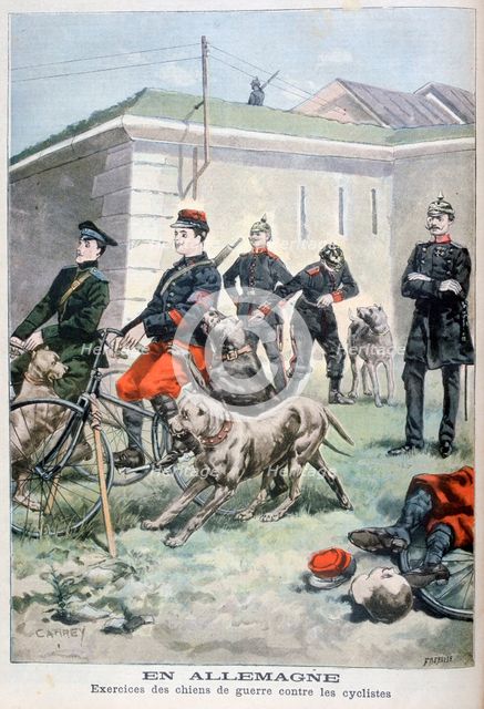 Training army dogs to attack cyclists, Germany, 1897. Creator: F Meaulle.