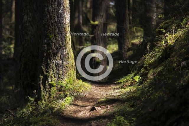 Trail Addiction. Creator: Joshua Johnston.