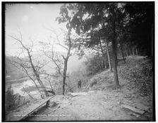 Trail to Winona Cliff, Delaware Water Gap, between 1890 and 1901. Creator: Unknown