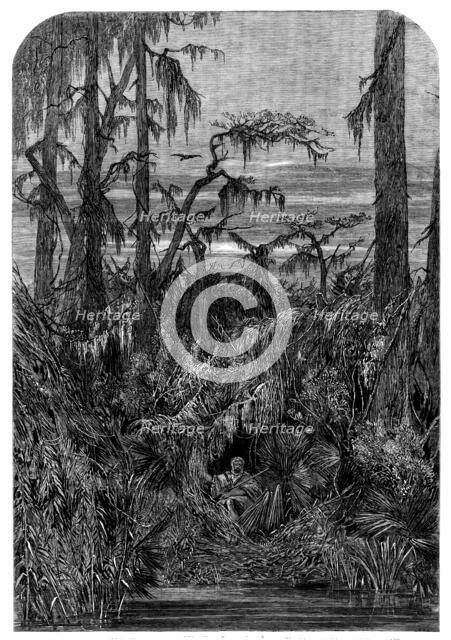 Transatlantic Sketches - a Swamp in Louisiana - from a drawing by Mrs. Bodichon, 1858. Creator: Unknown.
