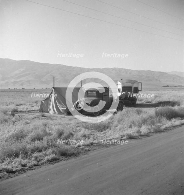 Transient potato workers camping along the highway, Near Shafter, California, 1935. Creator: Dorothea Lange.