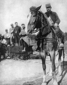 Transport at the Forest of Argonne, France, 1915