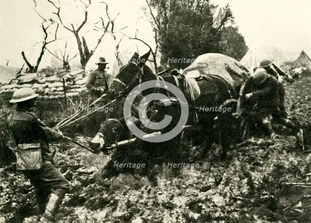 'Transport Difficulties in the Swamps of Flanders', First World War, 1917, (c1920). Creator: Unknown.