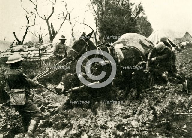 'Transport Difficulties in the Swamps of Flanders', First World War, 1917, (c1920). Creator: Unknown.