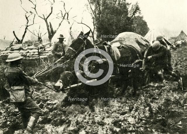 'Transport Difficulties in the Swamps of Flanders', First World War, 1917, (c1920). Creator: Unknown.