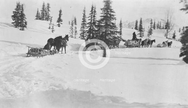 Transportation by horses and sleighs, 1921. Creator: Unknown.