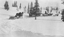 Transportation by horses and sleighs, 1921. Creator: Unknown