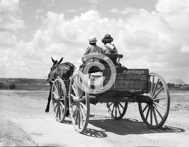 Transportation in the South, Mississippi, 1936. Creator: Dorothea Lange.