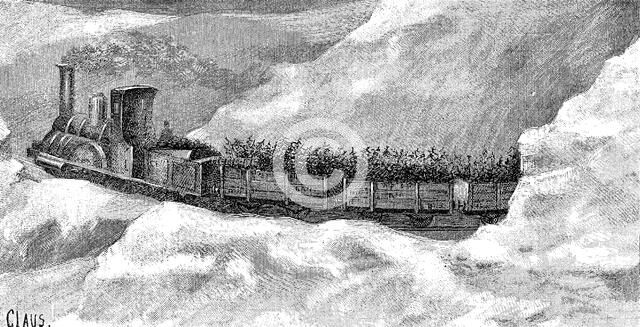 Transportation of fir trees by railway for Christmas celebrations in the region of Thuringia, eng…