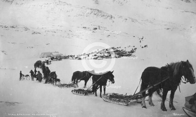 Transportation with horses, mules, dogs and bicycle, between c1900 and 1927. Creator: Unknown.