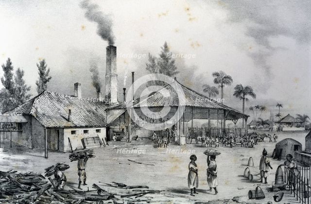 Trapiche de un ingenio during the grinding of sugar cane, 1840. Creator: Mialhe, Federico (1810-1881).