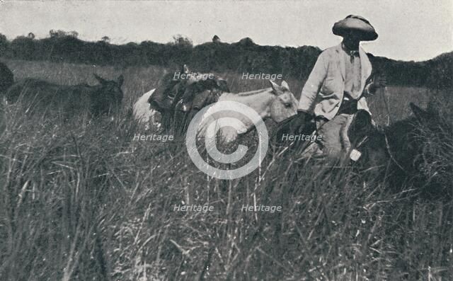 'Travel on the Pampas', 1916. Artist: Unknown.