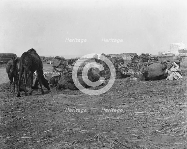 Travel views of Morocco, 1904. Creator: Arnold Genthe.