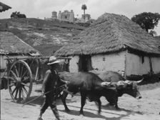 Travel views of Cuba and Guatemala, between 1899 and 1926. Creator: Arnold Genthe