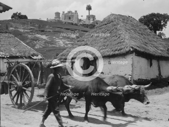 Travel views of Cuba and Guatemala, between 1899 and 1926. Creator: Arnold Genthe.