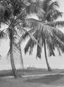 Travel views of Cuba and Guatemala, between 1899 and 1926. Creator: Arnold Genthe
