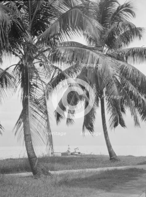 Travel views of Cuba and Guatemala, between 1899 and 1926. Creator: Arnold Genthe.