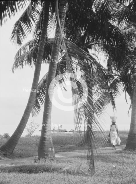Travel views of Cuba and Guatemala, between 1899 and 1926. Creator: Arnold Genthe.