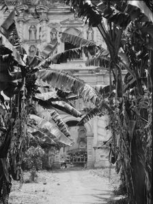 Travel views of Cuba and Guatemala, between 1899 and 1926. Creator: Arnold Genthe