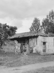 Travel views of Cuba and Guatemala, between 1899 and 1926. Creator: Arnold Genthe