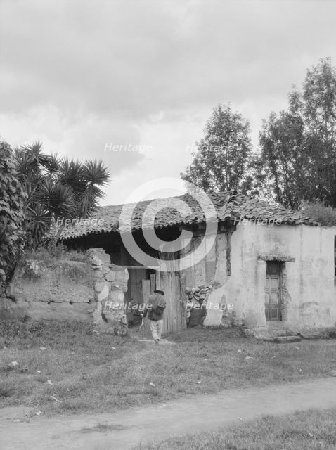 Travel views of Cuba and Guatemala, between 1899 and 1926. Creator: Arnold Genthe.