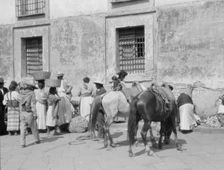 Travel views of Cuba and Guatemala, between 1899 and 1926. Creator: Arnold Genthe