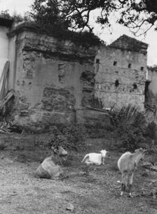 Travel views of Cuba and Guatemala, between 1899 and 1926. Creator: Arnold Genthe