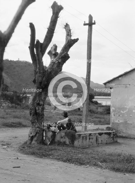 Travel views of Cuba and Guatemala, between 1899 and 1926. Creator: Arnold Genthe.